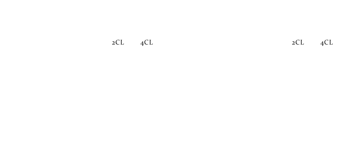 G05-shots